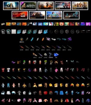 可排位-13把神器✅火麒麟M762✅朱雀M416✅小丑女双头✅迈凯伦✅阿斯顿马丁✅布加迪_绝地求生_全区_全服_宙斯租号-租cf租号专业的穿越火线租号平台