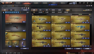  16豆 灵眸，幻神ag，蔷薇巅峰荣耀，s白虎，星神呛娘，usp-雷暴cop堕天神，6套手蕾包_穿越火线_电信区_安徽一区_宙斯租号-租cf租号专业的穿越火线租号平台