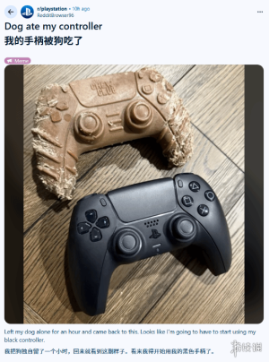 Reddit网友分享“PS5手柄”被自家狗狗撕咬后的惨状_游侠网 Ali213.net（狗狗啃出“灵魂拆解”？Reddit玩家晒PS5手柄遇袭现场）